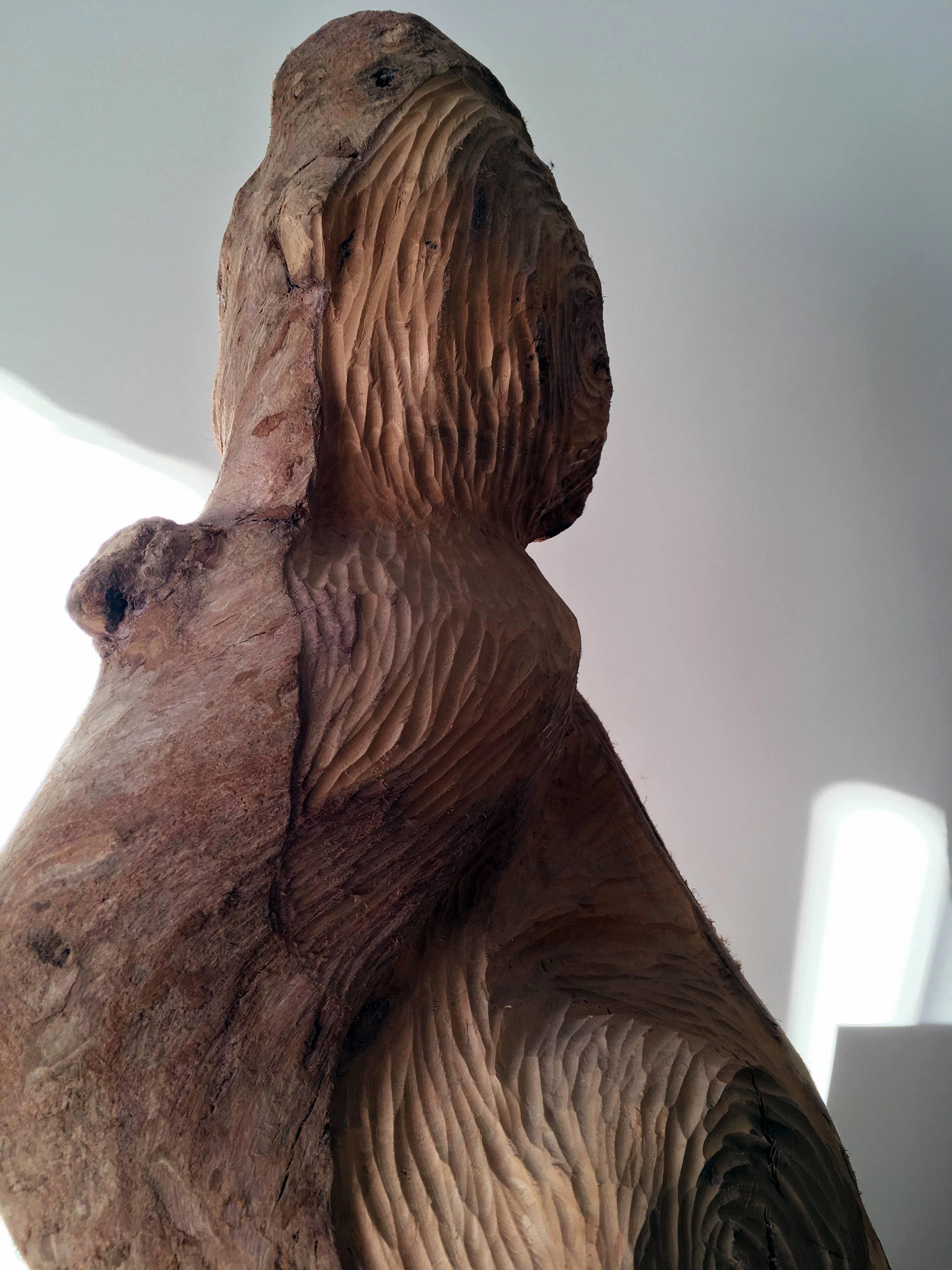 photograph of a wooden sculpture-(c)an vanderhoydonck